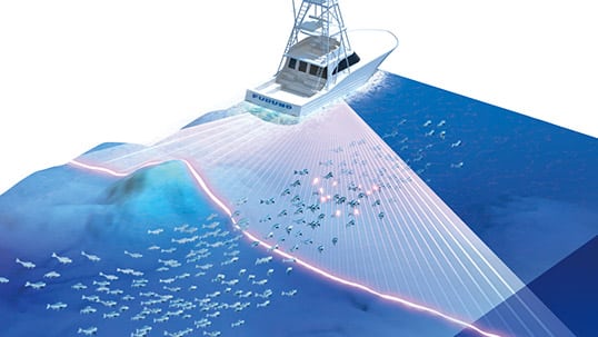 Graphic of fish finder beam detecting fish school
